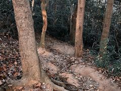 -杭州植物园