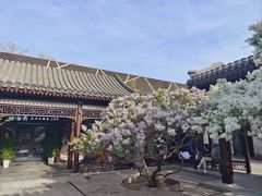 -云海肴云南菜·蒸汽石锅鱼(新奥店)