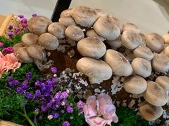 -湯系·煲汤手艺人(东二环泰禾广场店)