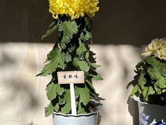 -杭州植物园