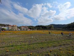 -红山村