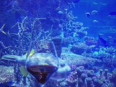 -迪拜帆船酒店海底餐厅