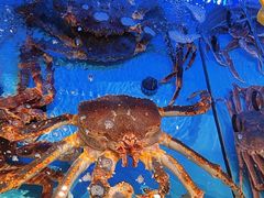 -阿伟海鲜楼·福建菜(延寿店)