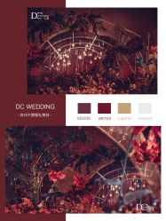 -DC大蔡婚礼策划(李公堤店)