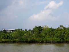 -东寨港红树林旅游区