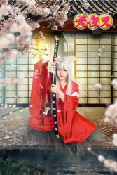-星元素cosplay动漫摄影写真工作室