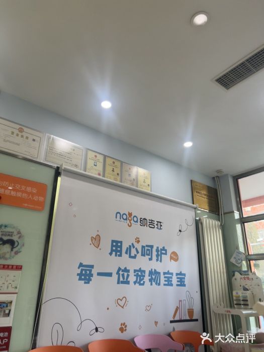 纳吉亚猫专科动物医院博雅分院图片