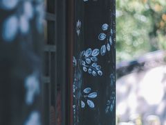 -颐和园