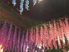 -黄记煌三汁焖锅(悦方IDmall店)