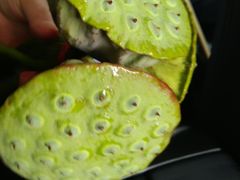 -千龙湖生态旅游度假区