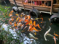 -优之名鹅城