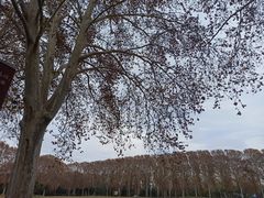 -河南省黄河迎宾馆