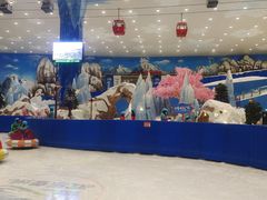 -长沙湘江冰雪世界