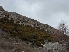 -亚拉雪山风景区