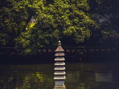 -杭州植物园