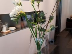 -Seesaw Coffee(上海尚悦湾店)
