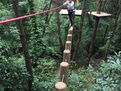 -芦仙山景区-飞越丛林探险乐园