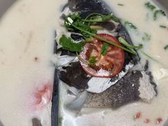 -全乐鱼馆·淳牌有机鱼直营店