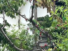 -慢丽江·云南野生菌土鸡锅(西山店)