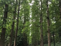 -上海怡沁园度假酒店