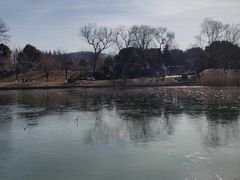 -太阳宫公园