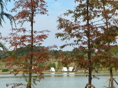 -鹤之洲湿地公园