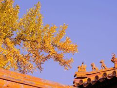 -故宫博物院(故宫)