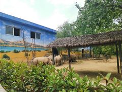 -西安秦岭野生动物园