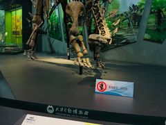 -天津自然博物馆