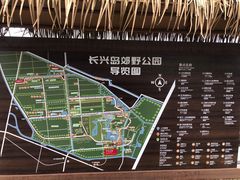 -上海长兴岛郊野公园