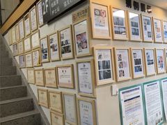 -半岛宠物医院24小时·内窥镜·牙科·碎石中心(府城大道店)