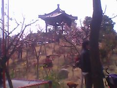 -南汇桃花村