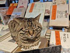 -正阳书局(西四南大街店)