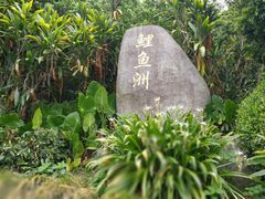 -福建鲤鱼洲酒店