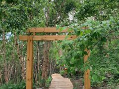 -白草畔自然风景区