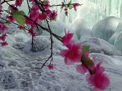 -青峰峡国家森林公园