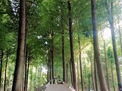 -捞渔河湿地公园