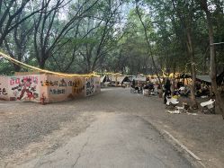 -268童话露营农场·烧烤·团建