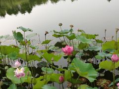 -上海怡沁园度假酒店