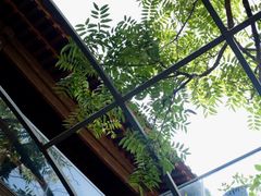 -zarah(鼓楼店)
