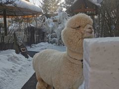 -长白山聚龙火山温泉
