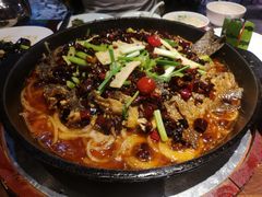 老板恋上鱼-老板恋上鱼(高新万达店)