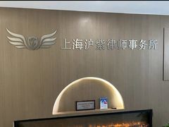 -上海领胜律师团队·法律咨询
