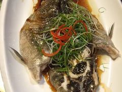 -九朝会昆曲·宴(望京店)