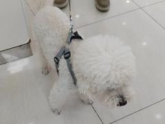 -美联众合动物医院·24h京西诊疗中心