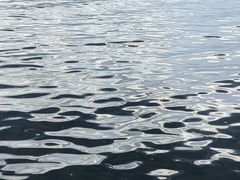 -海韵人家.海景花园经典云南菜(双廊店)