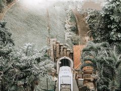 -槟城街头艺术街区