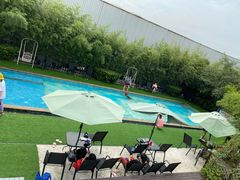 -汪说喵讲宠物乐园宠物酒店(红星美凯龙店)