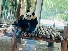 -宁波野生动物园