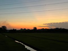 -低涌(地铁站)